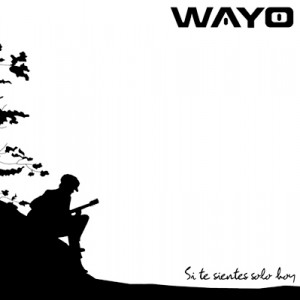 Wayo CD 2013